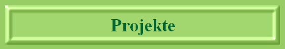 Projekte